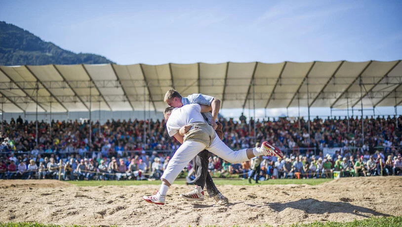 Weitere Impressionen: