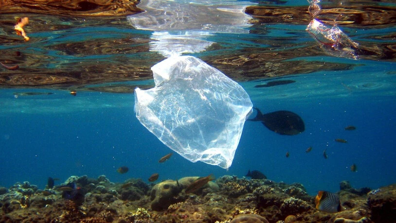 Gefahr besonders für Meeresschildkröten: Plastiksack im Wasser. (Archivbild)