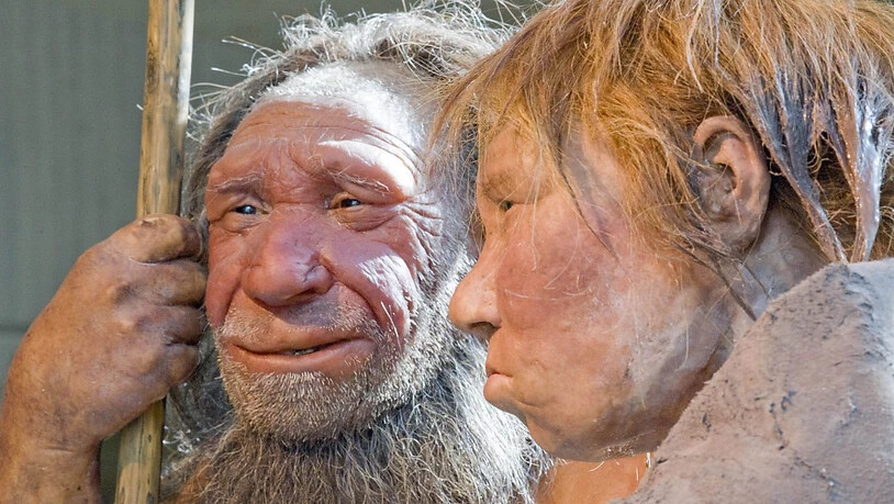 Neandertaler stellte man sich bisher eher grobschlächtig vor. Eine neue Studie beweist: Sie hatten durchaus Fingerspitzengefühl. (Archivbild)
