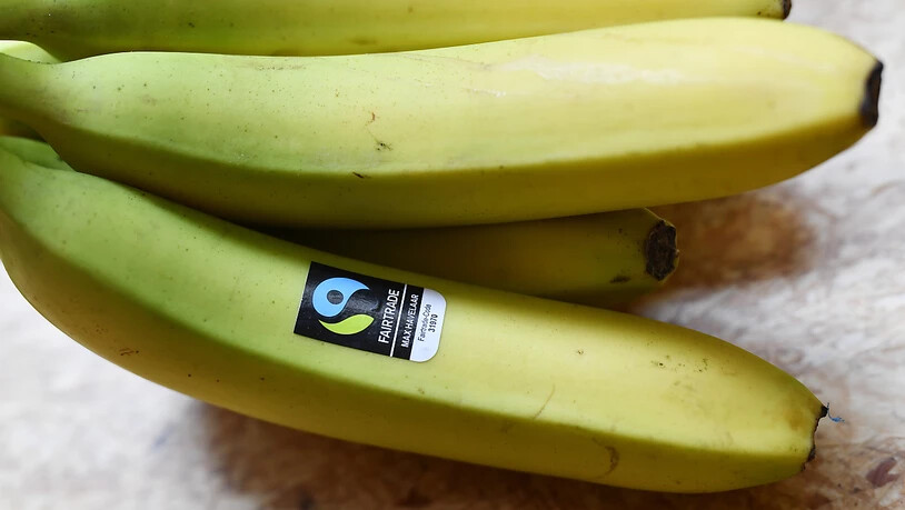 Schweizer kaufen weiterhin viele Fair-Trade-Produkte: Der Umsatz steigt auf einen neuen Rekord. Im Bild Bananen mit dem Gütesiegel von Max Havelaar. (Archiv)