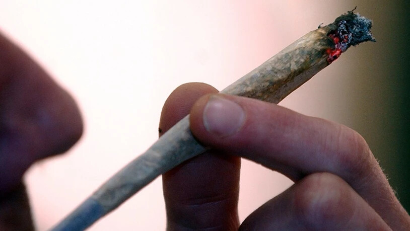 Der Bundesrat will Cannabis-Pilotversuche in Zukunft erlauben. In der Vernehmlassung kommen seine Pläne gut an. Eine breite Allianz aus Parteien und Suchtverbänden erhofft sich davon Erkenntnisse für den künftigen Umgang mit Cannabis. Dagegen ist die SVP…