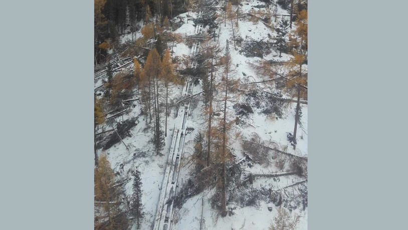 Viele davon haben das Trassee der Muottas-Muragl-Bahn getroffen.