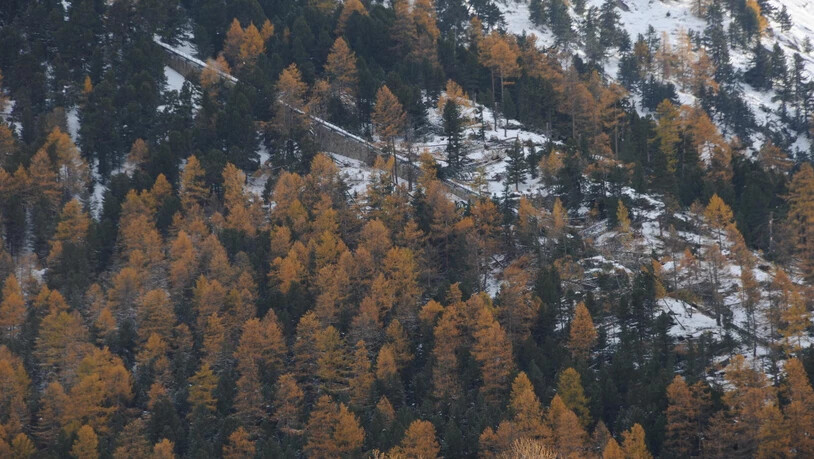 Das genau Ausmass der Schäden wird sich erst während der Aufräumarbeiten zeigen.