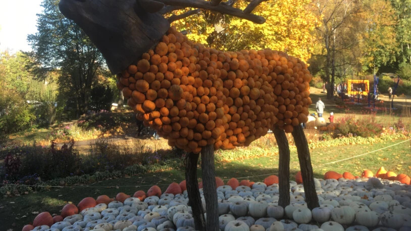 Tierischer Herbst!