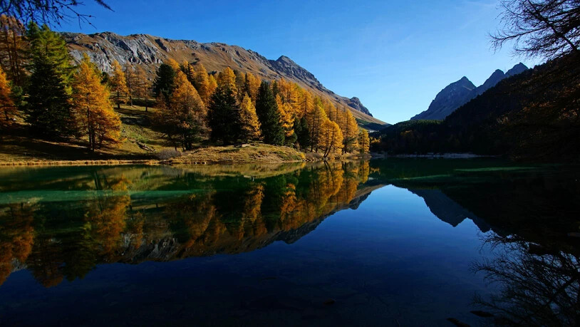 Goldener Herbst am Palpuognasee.