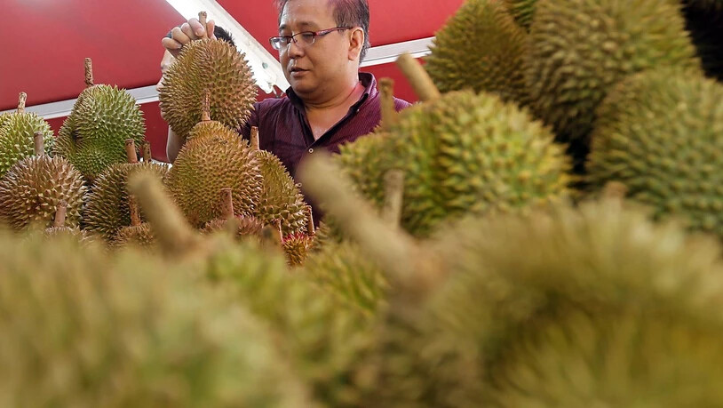 Durian-Früchte sind in Südostasien beliebt, ihr süsslich-fauler Geruch ist aber sehr gewähnungsbedürftig. (Symbolbild)