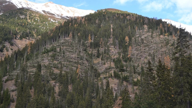 Ganze Waldflächen hat Sturm «Vaia» zerstört.