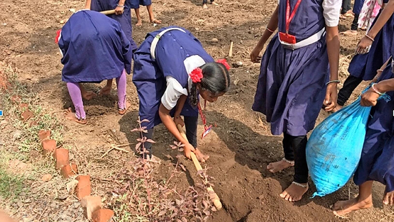 Mit wenig Geld viel bewirkt: 2570 Kilogramm Bananen erhoffen sich die fast 60 indischen Kinder vom Projekt Bananenplantage.