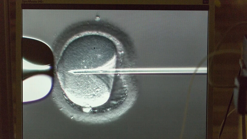 Der Eingriff ins Genom von Embryos in China fand nach künstlicher Befruchtung statt. (Symbolbild)