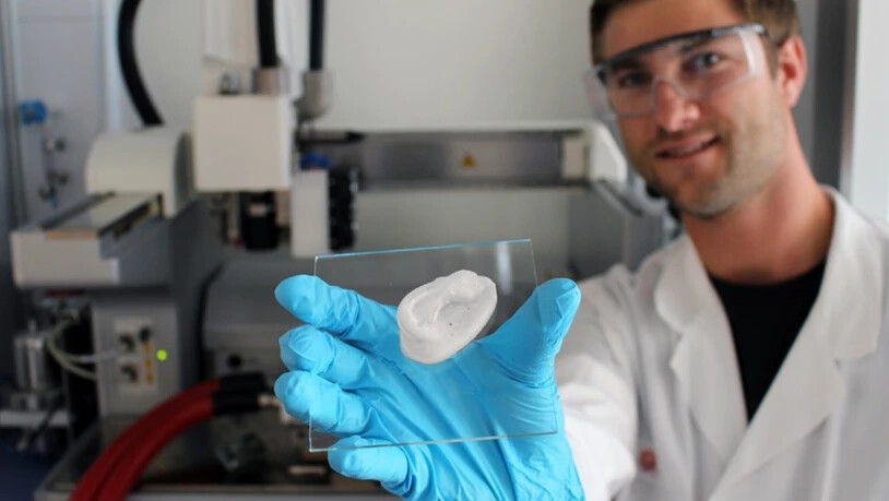 Eine Ohrmuschel aus dem 3D-Drucker. Fertig ist das Implantat damit noch nicht: Künftig sollen in diesem Grundgerüst Knorpelzellen wachsen.