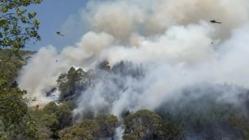 Rund 3000 Menschen in Neuseeland haben ihre Häuser und Wohnungen wegen eines Buschbrandes verlassen müssen.