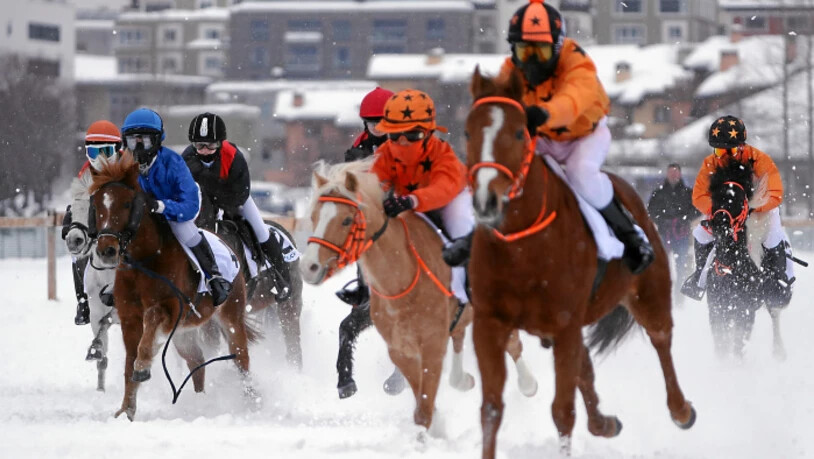 Es ist eine Weltpremiere: Das Pony-Galopprennen auf Schnee für Kinder und Jugendliche.