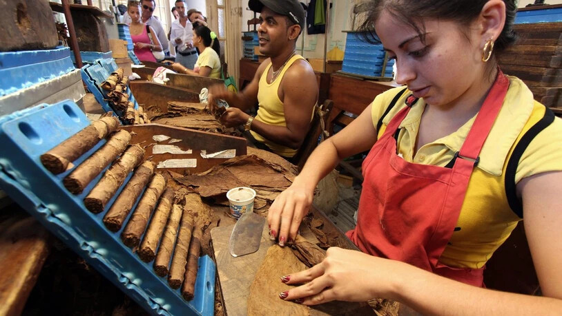 Arbeiter in der Zigarren-Manufaktur El Laguito in der kubanischen Hauptstadt Havanna. (Archivbild)