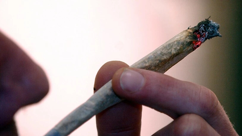 Cannabis legalisieren, entkriminalisieren? Nein, sagt der Bundesrat, gibt aber grünes Licht für wissenschaftliche Studien zum Cannabis-Konsum. (Themenbild)