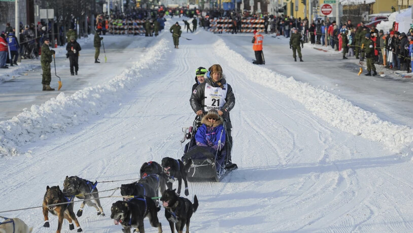 Martin Buser (Nummer 21) mit Team beim Show-Start für das diesjährige Iditarod am 2. März in Anchorage
