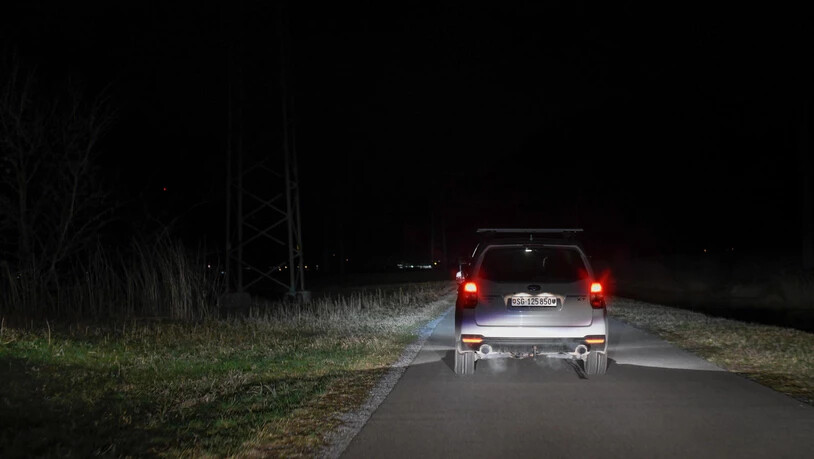 Nächtliche Hasensafari: Weil Feldhasen nachtaktiv sind, beginnt der Streifzug bei Dunkelheit.