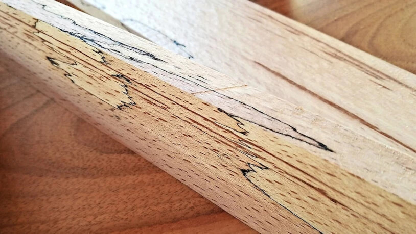 Wundersame Muster: Die Bemalungen auf diesen Holzstücken stammen nicht von einem menschlichen Künstler, sondern von Pilzen.Pressbilder/Jan Thornhill