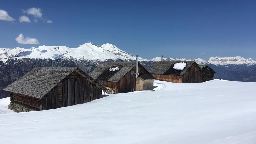 Die Dachfirste der Alp da Veulden bilden eine Einheit mit der Schneegrenze des Calandamassivs und der Schesaplanagruppe im Hinte