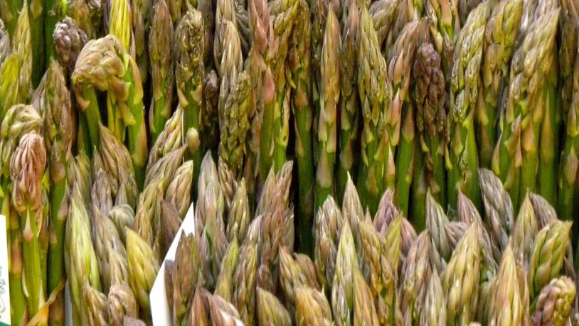 Frühlingszeit ist Spargelzeit. Aber ist der grüne Spargel anders als der weisse?