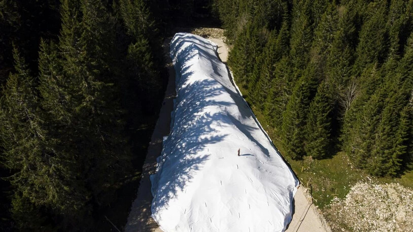 Am Rande des Risoud-Waldes wird der Schnee bis zum nächsten Winter gelagert.