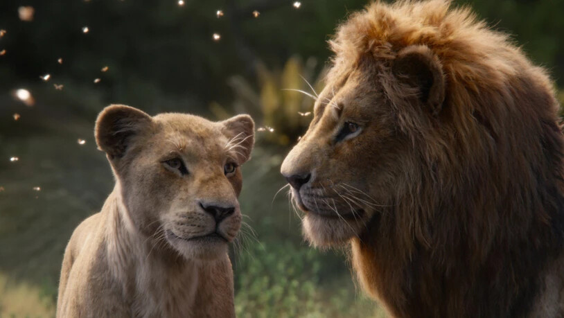Das Disney-Remake "The Lion King" hat am Wochenende vom 18. bis 21. Juli 2019 weitaus am meisten Leute in die Schweizer Kinos gelockt. (Archiv)