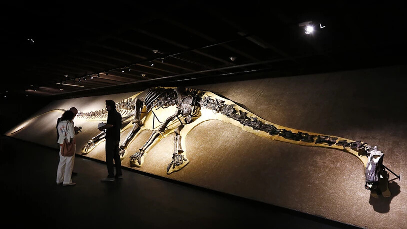 In der Nähe von Bordeaux haben Wissenschaftler einen 140 Millionen Jahre alten Schenkelknochen eines Sauropoden gefunden. (Themenbild eines Sauropoden)
