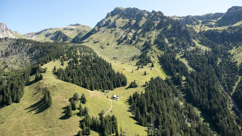 Die Teilnehmerinnen und Teilnehmer fliegen Mittwochnachmittag, 14. August 2019, nach Äugsten aus.