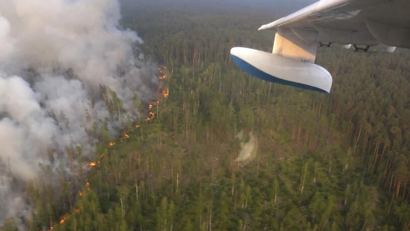 In Sibirien ist bei Bränden eine Waldfläche in der Grösse von drei Vierteln der Schweiz abgebrannt.