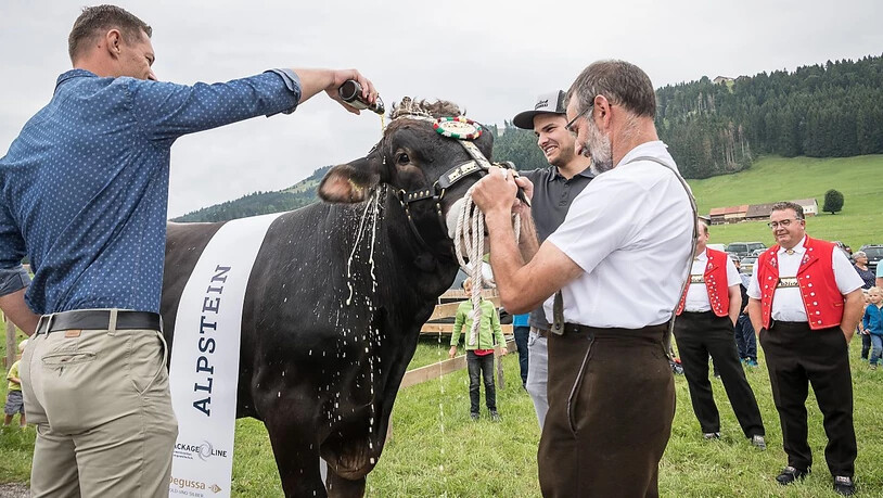 Die beiden Paten Thomas Sutter und Martin Hersche taufen Siegermuni "Alpstein".