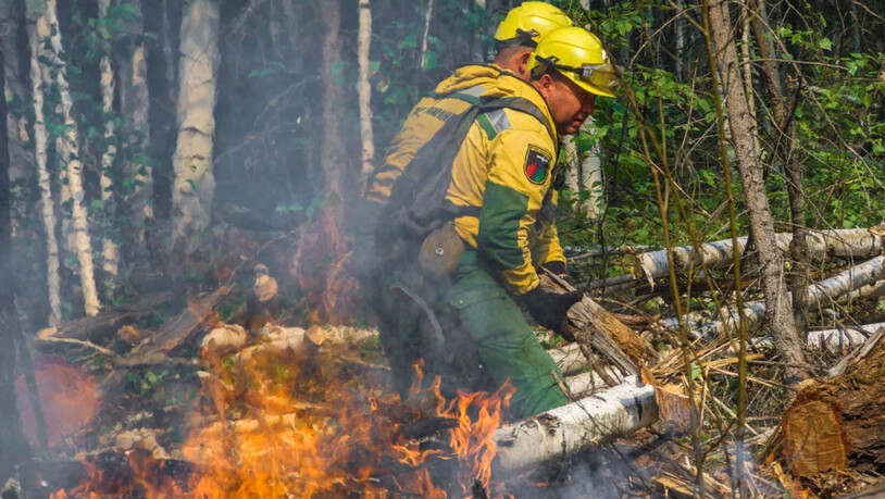 Die Feuer haben laut der Forstverwaltung mittlerweile eine Fläche von mehr als drei Millionen Hektar zerstört.