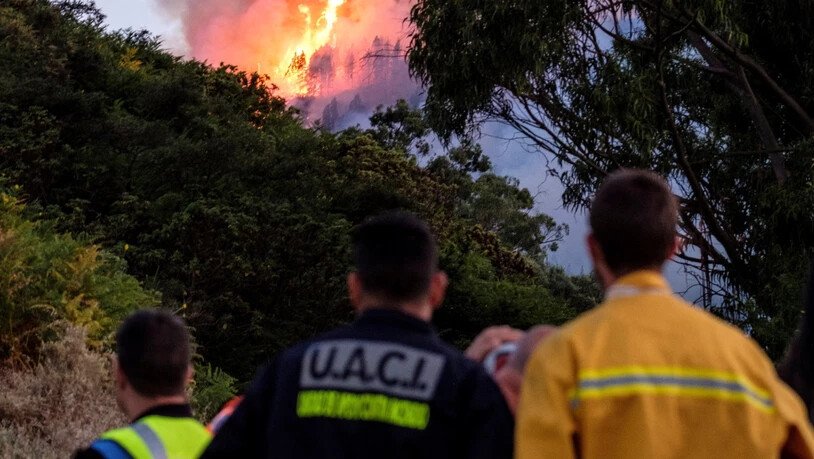 Zahlreiche Menschen mussten nach dem erneuten Ausbruch von Waldbränden auf Gran Canaria evakuiert werden.