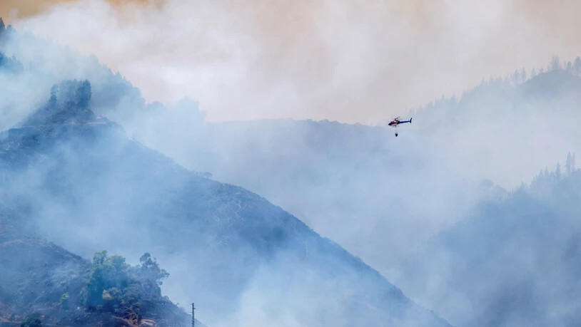 Rauch so weit das Auge reicht: Auf Gran Canaria kämpfen Feuerwehrleute schon wieder gegen Waldbrände.