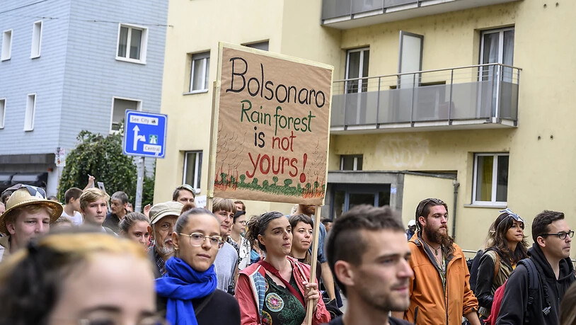 "Bolsonaro, der Regenwald gehört nicht dir": Demonstranten am Freitag in Zürich.