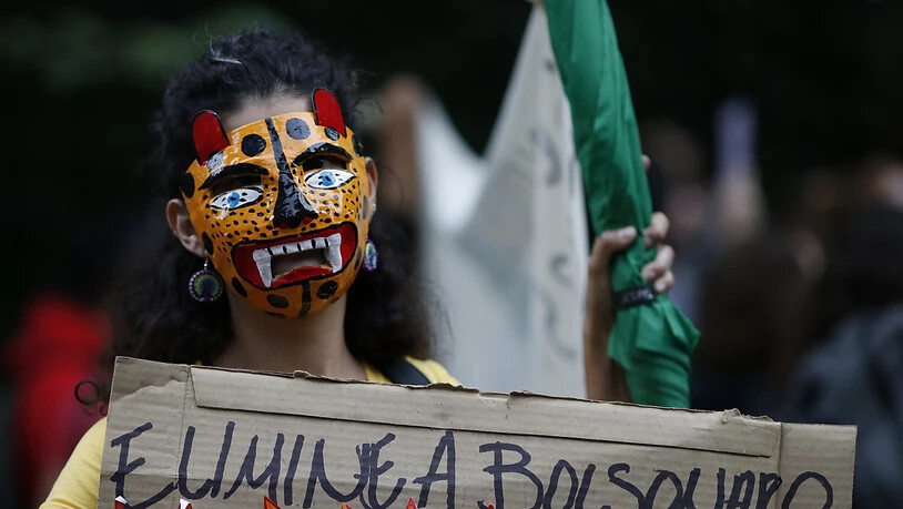 Auch vor der brasilianischen Botschaft in Mexiko fordern Demonstranten den Schutz der Amazonas-Regenwälder - und die Absetzung Bolsonaros.