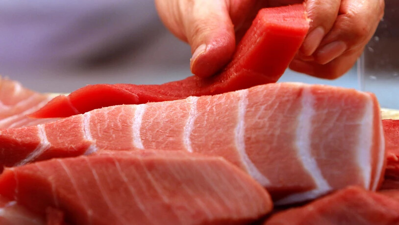 Am G7-Gipfel in Biarritz (F) wurde den Staats- und Regierungschefs gefährdeter roter Thunfisch aufgetischt. (Symbolbild)