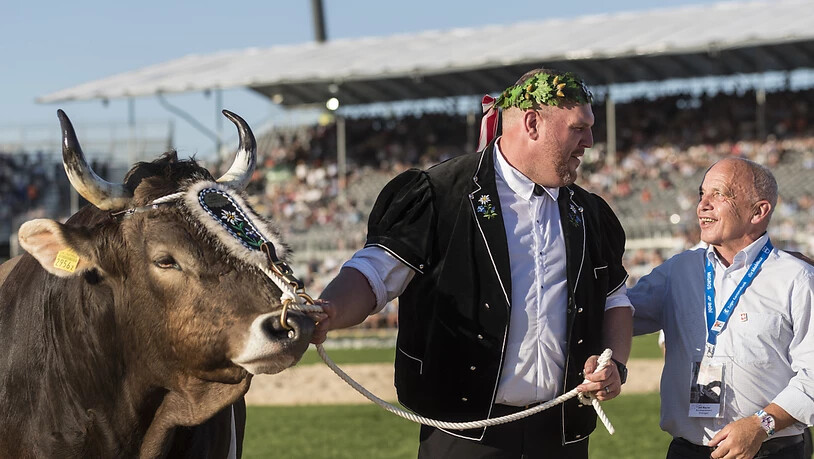 Christian Stucki mit Bundespräsident Ueli Maurer und Siegermuni "Kolin"
