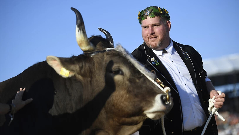 Gestatten, König Christian Stucki. Der Seeländer mit dem Siegermuni Kolin