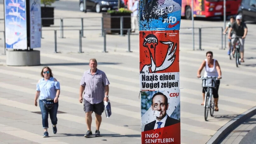 Wahlplakate in Potsdam im deutschen Bundesland Brandenburg, wo der AfD deutliche Gewinne vorhergesagt werden. (Archivbild)