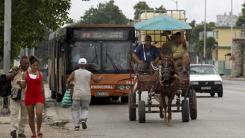 Wegen einer Energiekrise im Land benutzen Kubaner zum Pendeln wieder vermehrt Pferde. (Archivbild)