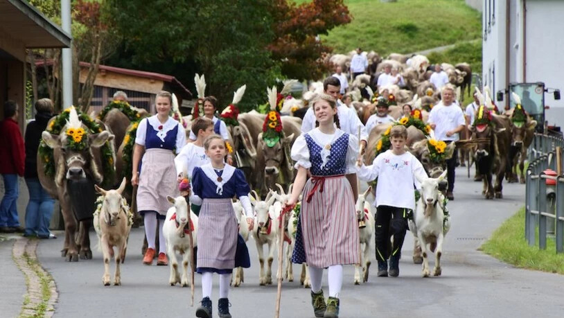 Zurück im Tal: Die Sennenfamilien und ihr Vieh von der Alp Oberlängenegg werden in Netstal empfangen.