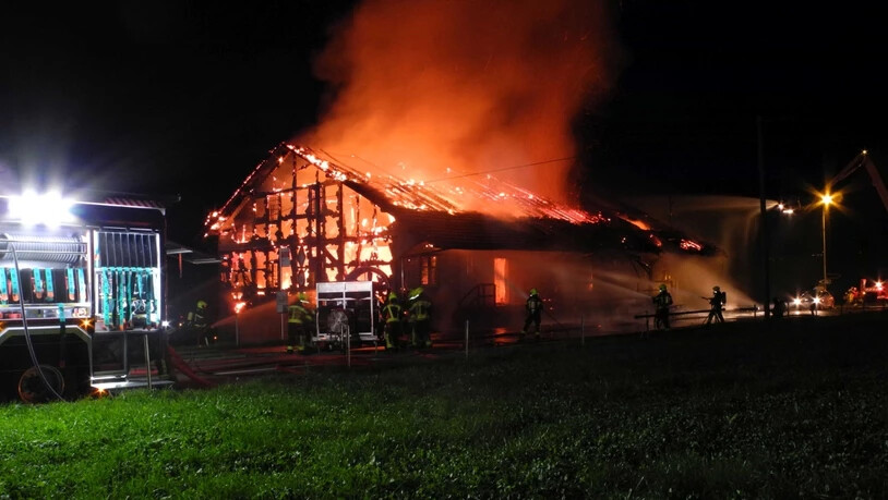 Am Montagabend ist die Lagerhalle einer Sicherheitsfirma in Seewen SZ in Brand geraten.