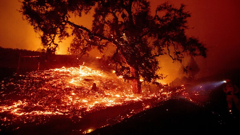 Ein sich rasend schnell ausbreitender Waldbrand wütet derzeit in der kalifornischen Weinbauregion; hier nahe Geyserville im Landkreis Sonoma.