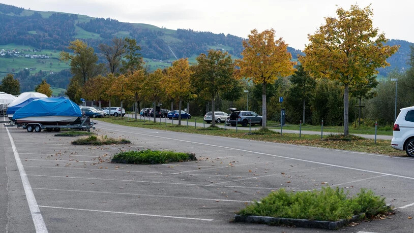 Dass beim Parkplätz Stampf Bäume gefällt werden mussten, zeigt für die Projektgegner, dass diese im Stadtraum nicht gedeihen können.