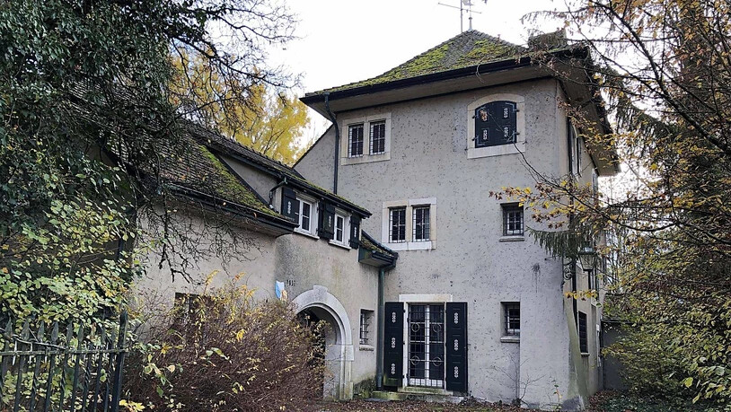 Die Villa Wolfensberg in Winterthur gehört zu den letzten Objekten aus der Erb-Konkursmasse. Nun soll sie versteigert werden.