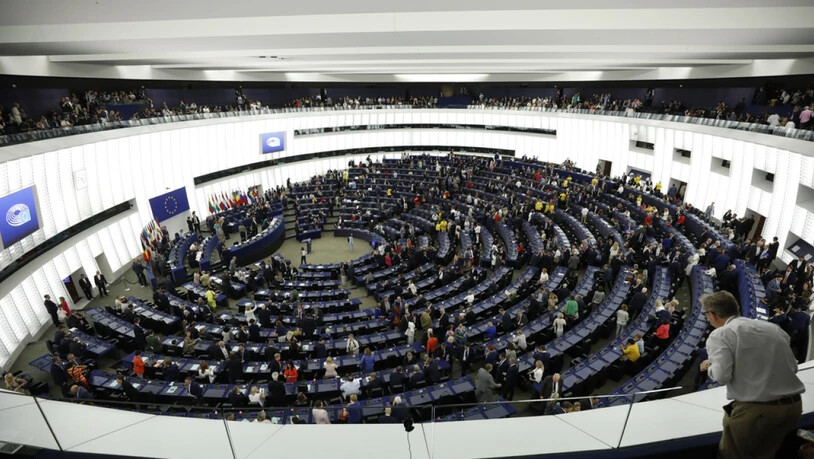 Das EU-Parlament rief in Strassburg den Klimanotstand aus. (Archivbild)