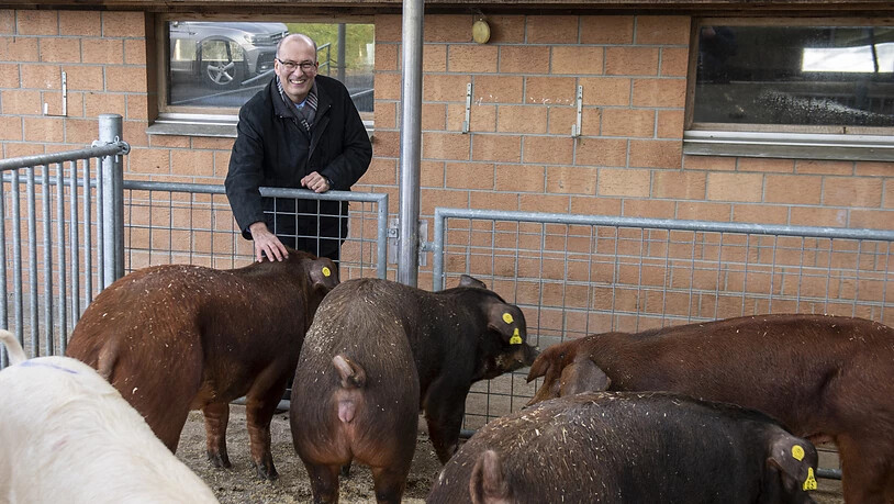 Markus Ritter, Präsident des Schweizer Bauernverbandes (SBV), bei gesunden Schweinen am Rande der Jahresmedienkonferenz des SBV in Worb. Ritter glaubt nicht, dass die Quadratur des Kreises gelingt, und die Schweizer Landwirtschaft umweltfreundlich und…