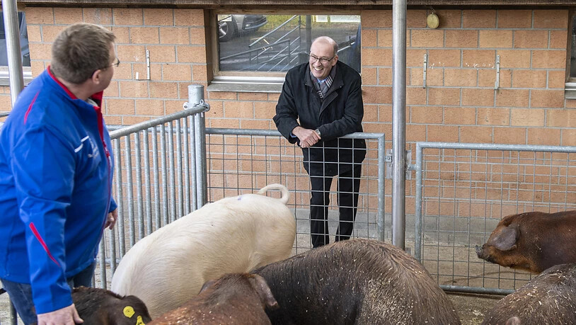 Samuel Schwab, Landwirt und Schweinezüchter (links) in Worb BE, zeigt Bauernverbandspräsident Markus Ritter (Bildmitte) seine gesunden Schweine, am Rande der Jahresmedienkonferenz des Schweizer Bauernverbands (SBV).