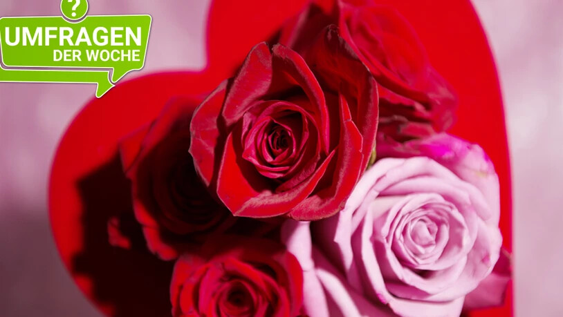 Der Valentinstag ist anscheinend nichts für unsere Leser.