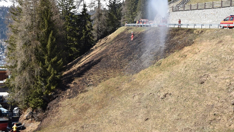 Die Brandfläche im Davoser Gebiet «Duchlisage».