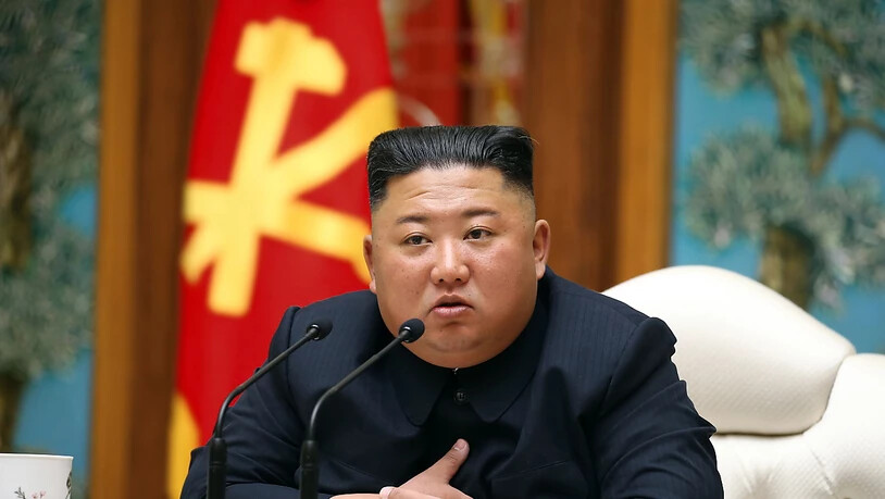 Gerüchte um eine angeblich schwere Krankheit: Nordkoreas Diktator Kim Jong Un.